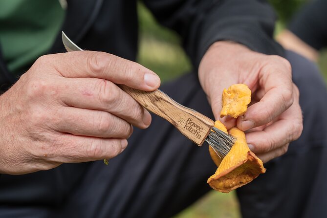It Smells Like Mushrooms - Who should book this day in Bovec
