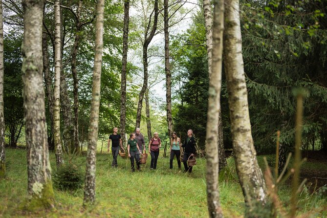 It Smells Like Mushrooms - Searching the Bovec forests with Bojan and Anja
