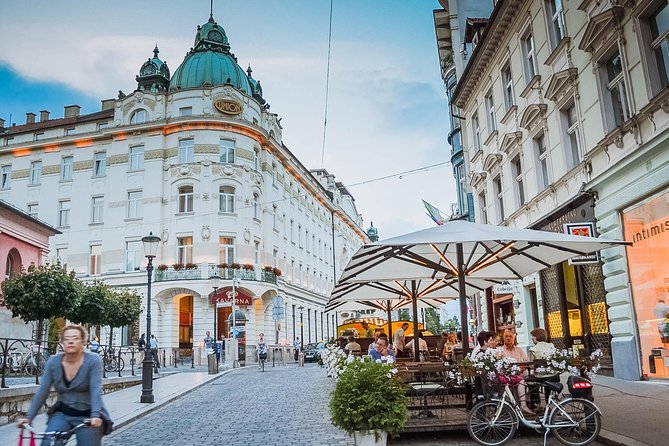 Lake Bled and Ljubljana Full-Day Tour from Koper - What the driver-guide adds