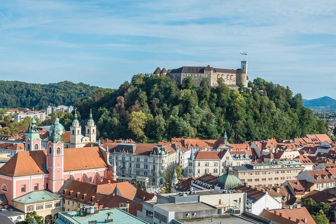 Lake Bled and Ljubljana Group Shore Experience from Koper - Transport, group size, and guide style