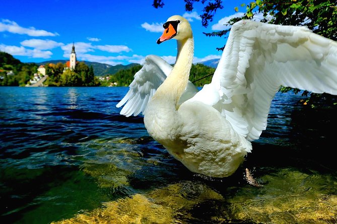 Lake Bled Half Day Excursion from Ljubljana - Bled Castle and its high view