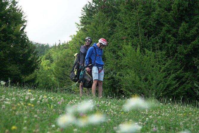 Lake Bled Tandem Paragliding - What the $156.62 price really buys