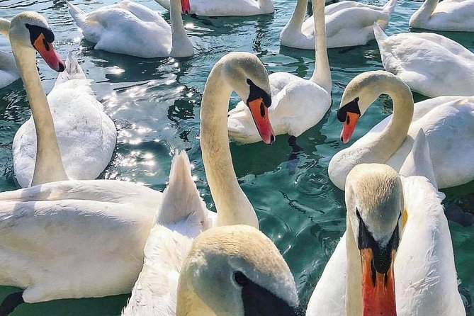 Lake Bled Tour from Ljubljana - What the guides add to the visit