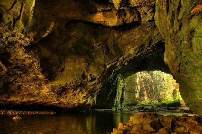 Lipica Stud Farm and Skocjan Caves from Koper - Key points to know before booking