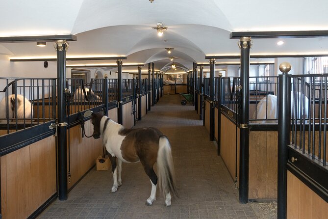 Lipica Stud Farm and Skocjan Caves from Koper - Entering the Škocjan Caves