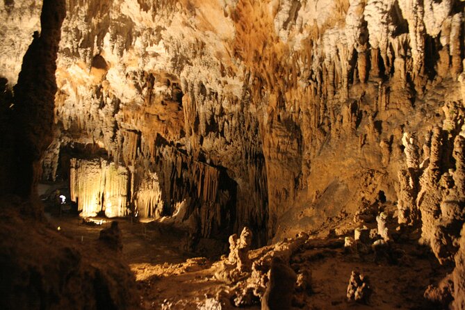 Lipica Stud Farm and Skocjan Caves from Koper - What to bring and who should skip it