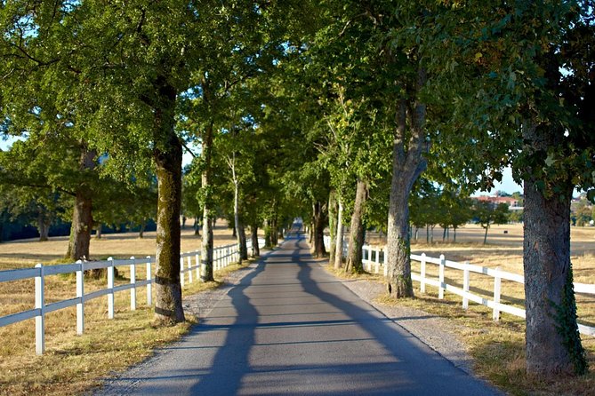 Lipica Stud Farm- Private Experience from Koper - A Scenic Return Through Trieste