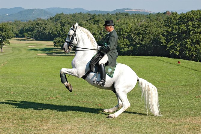 Lipica Stud Farm- Private Experience from Koper - Who Will Enjoy This Trip Most