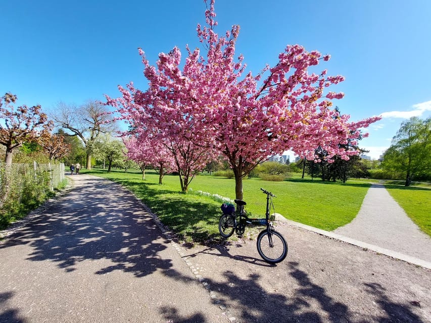 Ljubljana by E-Bike: Guided City Highlights Tour - What the $84 Price Really Buys