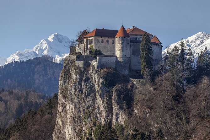 Ljubljana: Lake Bled Experience small group half-day tour - Lake Bled shoreline time and kremšnita