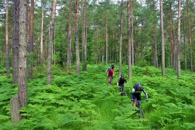 Ljubljana MTB Capital tour (e-bike enduro/all mountain) - Returning through Ljubljana’s Old Town