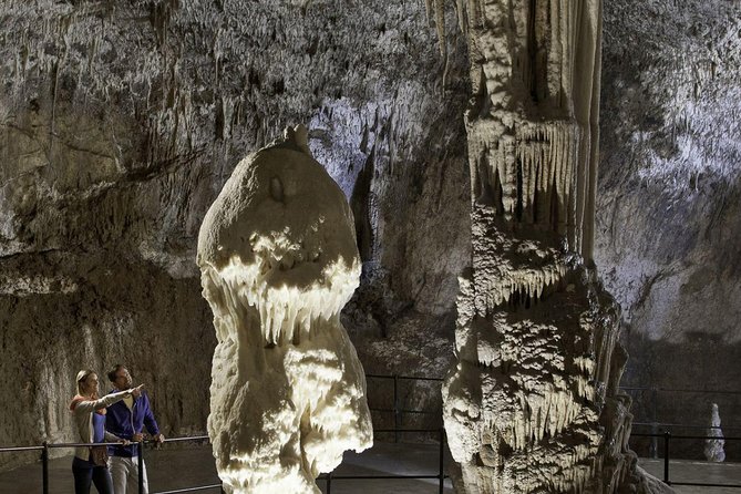 Ljubljana: Postojna cave & Predjama castle small group tour - Looking for the human fish