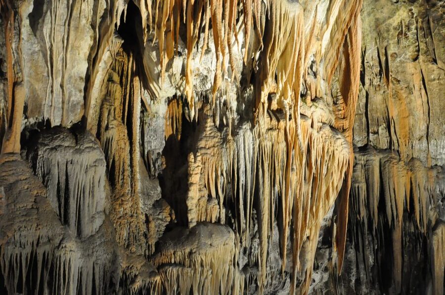 Ljubljana: Postojna Cave & Predjama Castle Tickets and Tour - What the guide adds to the experience