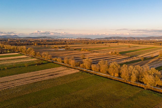 Ljubljana's Marshes Cycling Tour - The Ljubljana Marshes: quiet nature near the capital