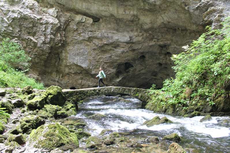 Ljubljana: Škocjan Caves, Rakov Škocjan & Predjama castle - Why Škocjan Caves deserve the headline