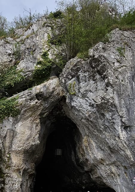 Ljubljana to Postojna Cave,Predjama Castle and Postojna park - What the $119 price includes