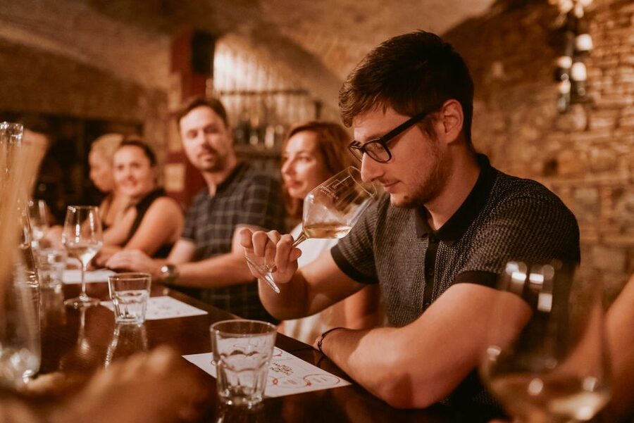 Ljubljana: Wine Tasting Experience with Appetizers - Should you book it?
