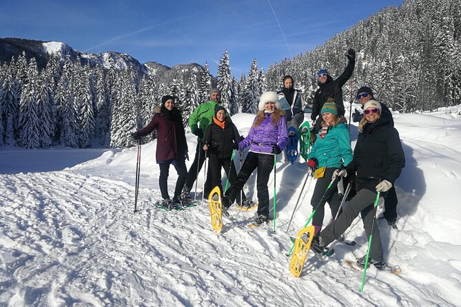 Magical Snowshoeing in Bohinj valley - Why the guide makes a difference