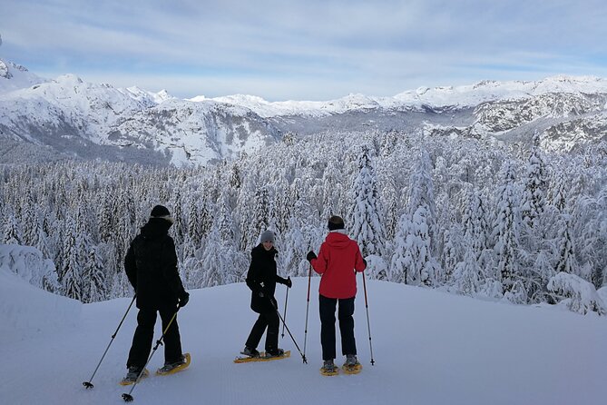 Magical Snowshoeing in Bohinj valley - Equipment and clothing that matter