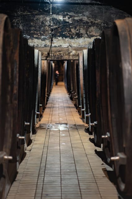 Maribor: Vinag Wine Cellar Tour with Wine tasting and snacks - The tasting: three wines and a small local plate