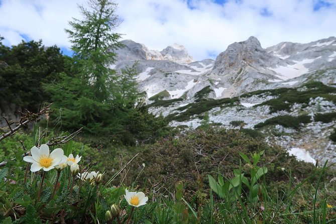 Mighty Mount Triglav Climb-summer Special-join Group - The summit push and Aljaž Tower