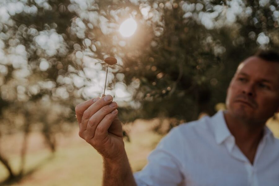 Olive Oil Tasting a Journey of Flavors and Aromas - What the Strongest Feedback Tells You