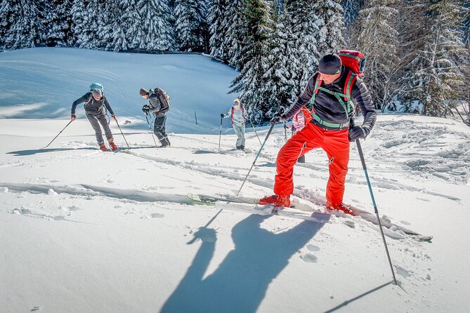 One Day Ski Touring Workshop - Avalanche rescue is not a side lesson