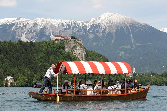One guide - two ports - tours from Koper and Trieste - Price, group size, and real value