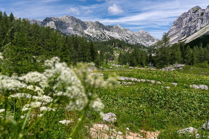 Panoramic Hike in Julian Alps - The first hour on Pokljuka Plateau