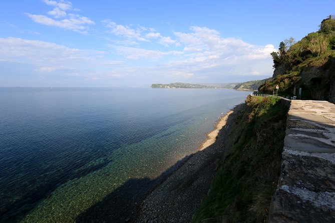Panoramic Piran and Salt Pans: E-Bike Boutique Tour - Forma Viva: sculpture among the trees