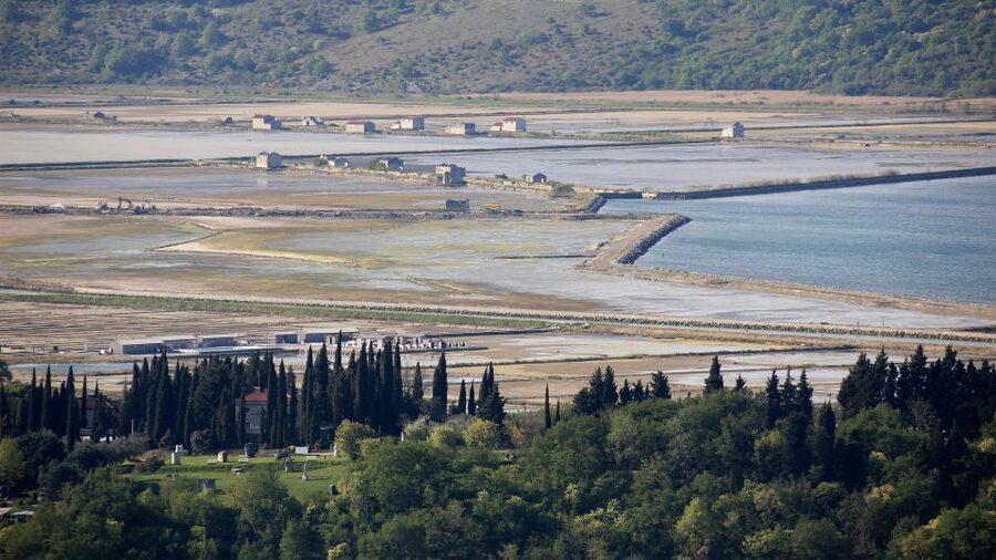 Panoramic Piran and Salt Pans: E-Bike Boutique Tour - Wine, Karst prosciutto, and the final panoramic stop
