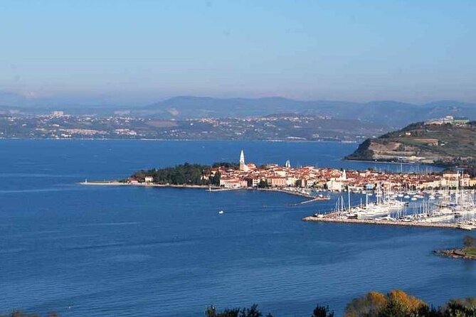 Panoramic Tour to Piran with Sweet Surprise - Practical tips for a smoother morning