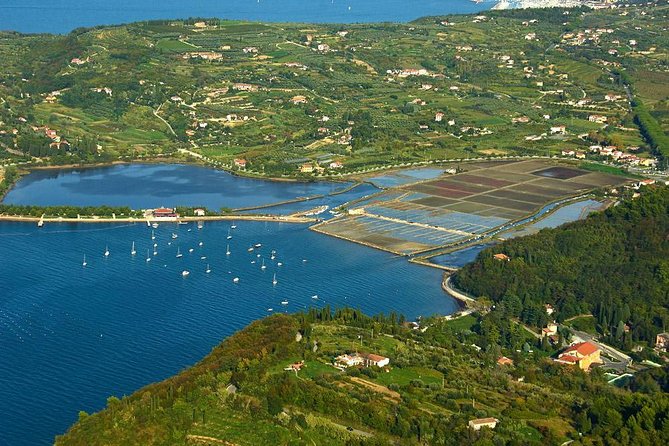 Piran and Scenic Slovenian Coast-Private Experience from Koper - Strunjan’s salt fields make a useful final photo stop