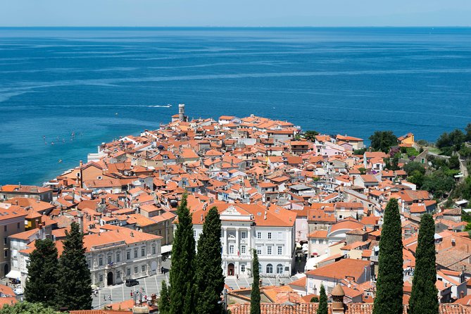 Piran Old Town Walking Tour - Tartini Square gives you your bearings