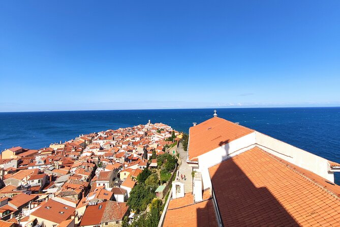 Piran Old Town Walking Tour - A private guide changes the pace