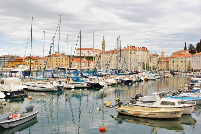 Piran & Panoramic Slovenian Coast - Small Group Tour from Koper - What $107.23 buys you