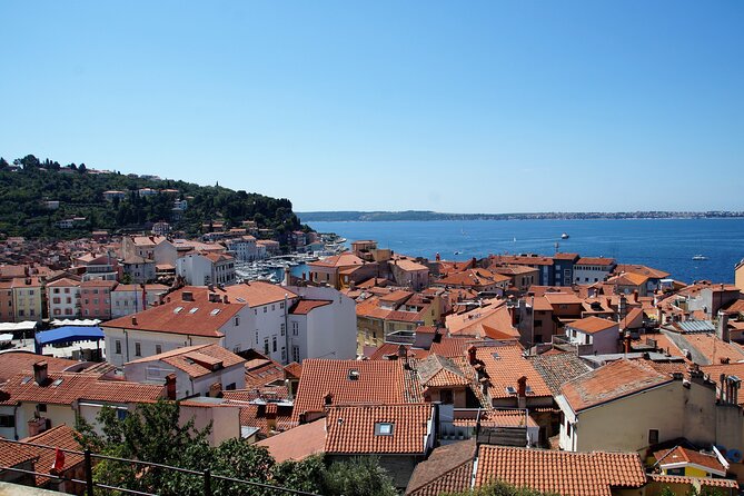 Piran & Panoramic Slovenian Coast - Small Group Tour from Koper - How to use your two hours in Piran