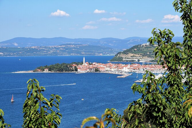 Piran & Panoramic Slovenian Coast - Small Group Tour from Koper - Who will get the most from this tour