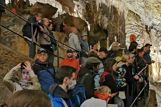Postojna Cave and Predjama Castle Tour from Ljubljana - The private van, pickup, and small-group feel