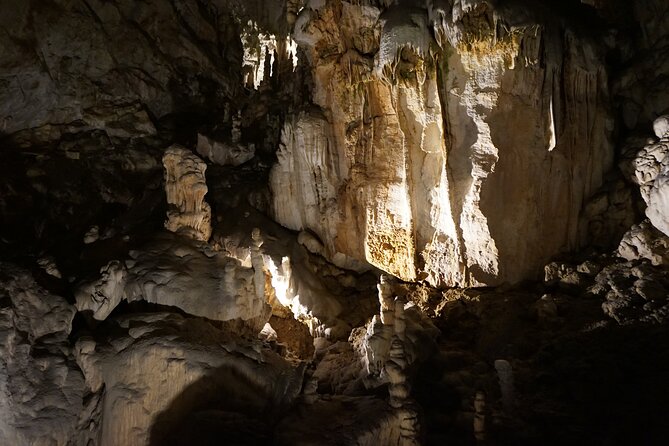 Postojna Cave and Predjama Castle Tour from Ljubljana - Price, extra tickets, and tipping