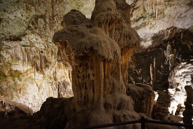 Postojna Cave and Predjama Castle Tour from Ljubljana - Should you book the Postojna and Predjama tour?