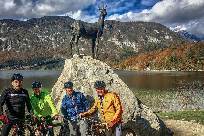 Private Biking Tour in Bohinj Valley - Who should book this ride