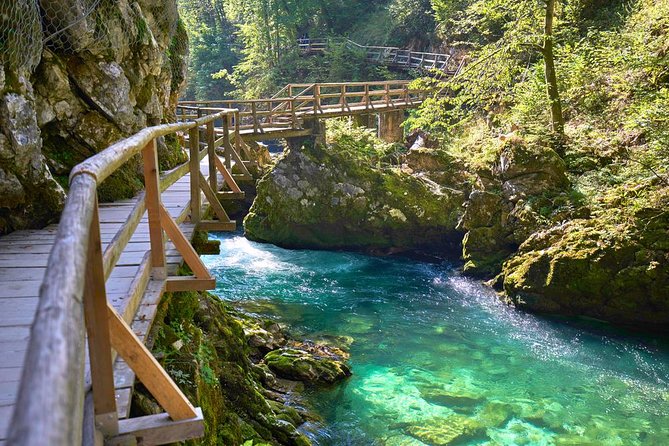 Private Bohinj & Vogel Tour from Bled - From Bled to the high slopes of Vogel