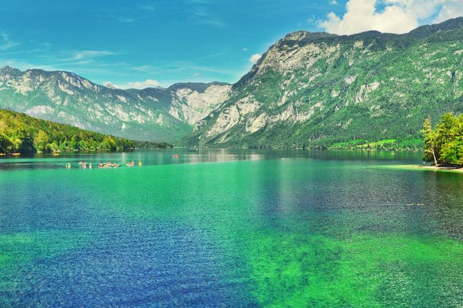 Private Bohinj & Vogel Tour from Bled - Fitness, weather, and practical details