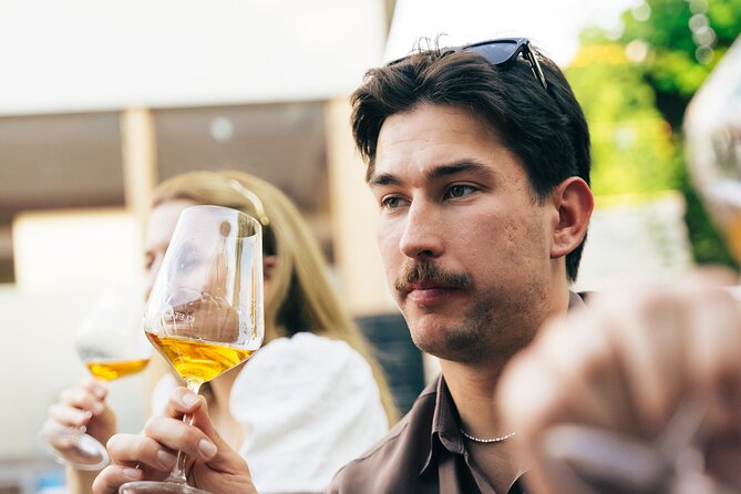 Private Wine Tasting Experience in Ljubljana - Snacks, setting, and the pace of the night