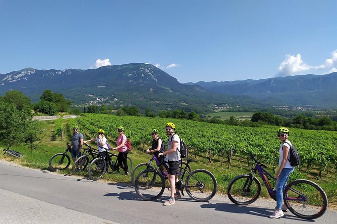 Secret vineyards E-bike tour - Personal service and small-group flexibility