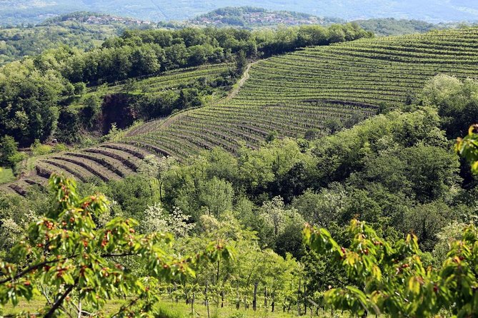 Secret vineyards E-bike tour - Timing, booking, and cancellation details