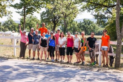 Skocjan Caves, Lipica & Piran: Karst & Coast Small-Group Day Trip from Ljubljana