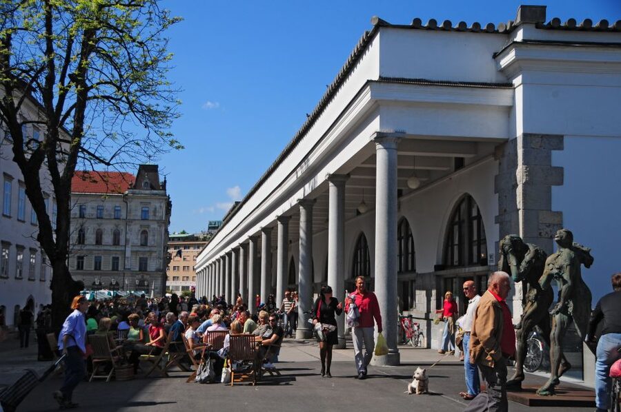 Small Group (Max 6): Ljubljana Hidden Gems Tour from Koper - Key points at a glance