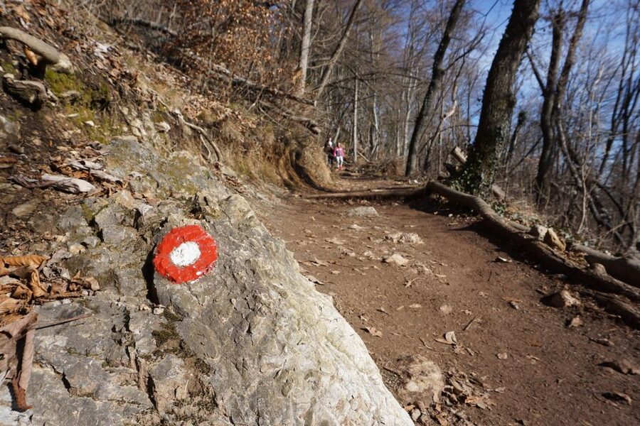 Šmarna Gora: Hiking and Food Tour from Ljubljana - The summit view and the church bell